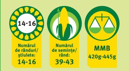 Caracteristici agrochimice P0412 Pioneer Aquamax